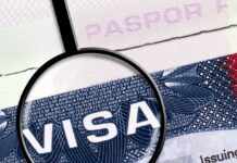 India Extends Visas Free of Cost for Foreigners Stranded by West Asia Conflict, Waives Overstay Penalty After February 28 India Extends Visas, Waives Overstay for West Asia Conflict Stranded