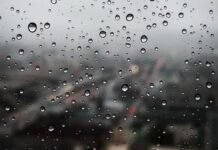 IMD Lowers Monsoon Forecast to 90% of Average, Warns of Severe Heatwave Across Several States IMD lowers monsoon rainfall projection