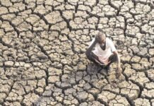 Maharashtra Farmers Face Drought-Like Crisis: Fadnavis Announces Crop Loss Survey After October 5, Promises State Aid Before NDRF Relief Maharashtra farmers face drought-like conditions as Fadnavis announces financial aid