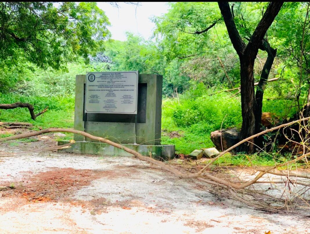 WhatsApp Image 2025-09-06 at 14.33.49_3e1c42b0