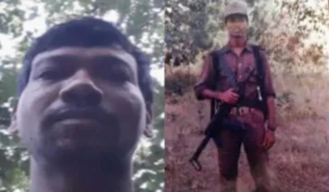 befunky-collage-60-1763446468