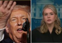 White House Dismisses Rumors: Trump’s Hand Bandages Are From ‘Non-Stop Handshakes,’ Not Health Crisis