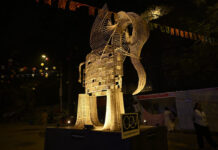 Curiosity Triumphs : CRY’s art installation at Kala Ghoda Festival celebrates the wonder and the power of questioning