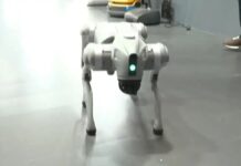 Galgotias University Asked to Leave India AI Summit After Imported Robot Dog Presented as In-House Innovation Galgotias University stall removed from India AI Impact Summit