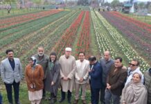‘Message of Hope’: Omar Abdullah Opens Asia’s Largest Tulip Garden in Srinagar