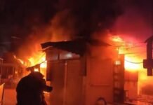Massive Blaze at Thane Market Claims Lives of Fireman and Security Guard Firefighters battling a massive blaze at Gaondevi Vegetable Market in Thane after the fire spread through multiple shops and storage units.
