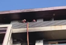 9 Dead in Vivek Vihar Fire Horror: Early Morning Blaze Triggers Panic, Rescue Ops On Firefighters carrying out rescue operation after deadly fire in Vivek Vihar Delhi