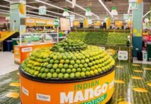 Japan Suspends Indian Mango Imports Over Pest-Control Concerns, Exporters Fear Major Setback Indian mango exports affected after Japan import suspension