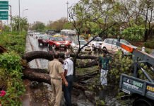 UP Storm Tragedy: 56 Dead as Fierce Winds, Lightning and Heavy Rain Wreak Havoc Across Districts Uprooted trees and damaged houses after severe storm and heavy rain in Uttar Pradesh