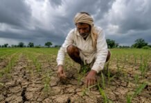Delayed Monsoon Triggers Farming Crisis, Kharif Crop Sowing Falls Nearly 23% Across India Farmers face delayed kharif crop sowing across India due to weak monsoon and below-normal rainfall.