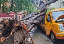 Mumbai Tragedy: 11-Year-Old Student Dies After Tree Crashes Onto School Bus in Chembur, Four Children Injured Emergency teams rescue students after a tree collapsed on a school bus in Chembur, Mumbai
