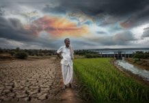 El Niño Threat Looms Over India; Maharashtra Faces Moderate Risk Despite Better Preparedness: CareEdge Report Farmer standing between cracked drought-affected land and irrigated green farmland under dramatic monsoon clouds, symbolising El Niño risks and India's monsoon preparedness in 2026.
