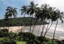 Munge Gram Sabha Seeks Restrictions on Land Sales to Buyers from Outside Sindhudurg Palm-lined Munge beach in Devgad taluka of Sindhudurg district