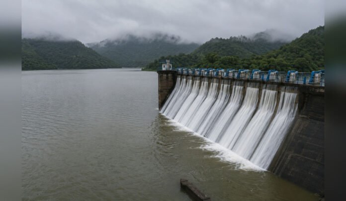 Reservoirs supplying Mumbai show marginal rise in water levels after continuous monsoon rainfall