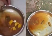 ‘Water Curry, Burnt Rotis’: Viral Sitapur School Mid-Day Meal Video Triggers Outrage, Food Quality Under Scanner Students allegedly served watery potato curry and burnt rotis at a government primary school in Sitapur, Uttar Pradesh.