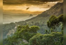 Centre Issues Fresh Draft Notification for Western Ghats Eco-Sensitive Area; 179 Sindhudurg Villages Included Forested mountain ranges representing the ecologically sensitive Western Ghats region.
