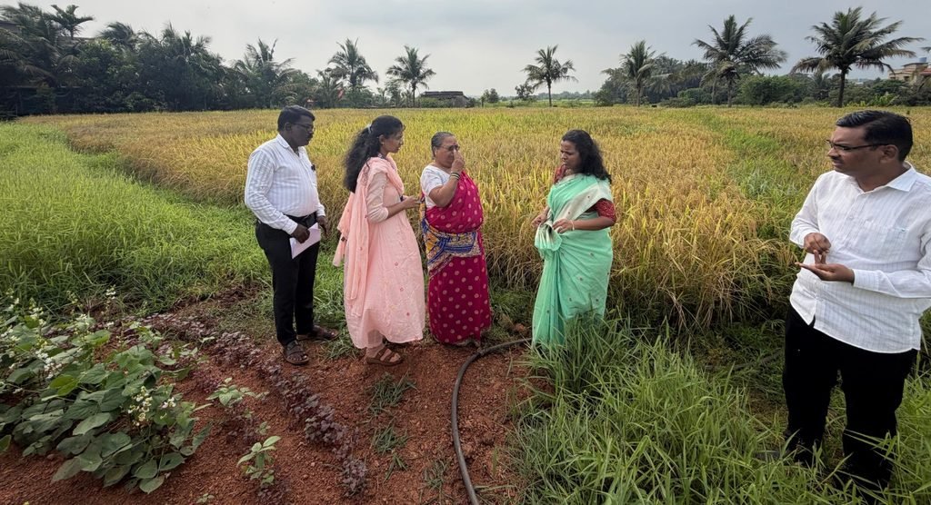 Officials and a farmer reviewing paddy fields in Sindhudurg during an assessment of crop conditions.