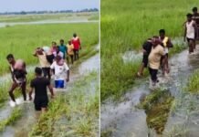 Bhagalpur Pond Tragedy: Six Children Drown While Bathing During Karma-Dharma Festival Bhagalpur Pond Tragedy During Karma-Dharma Festival