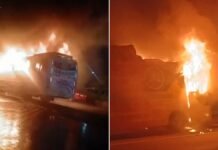 9 Killed After Sleeper Bus Catches Fire on Yamuna Expressway in Greater Noida Greater Noida bus catches fire on Yamuna Expressway
